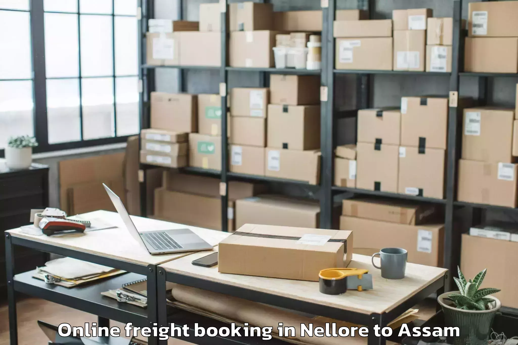 Efficient Nellore to Tezpur University Online Freight Booking